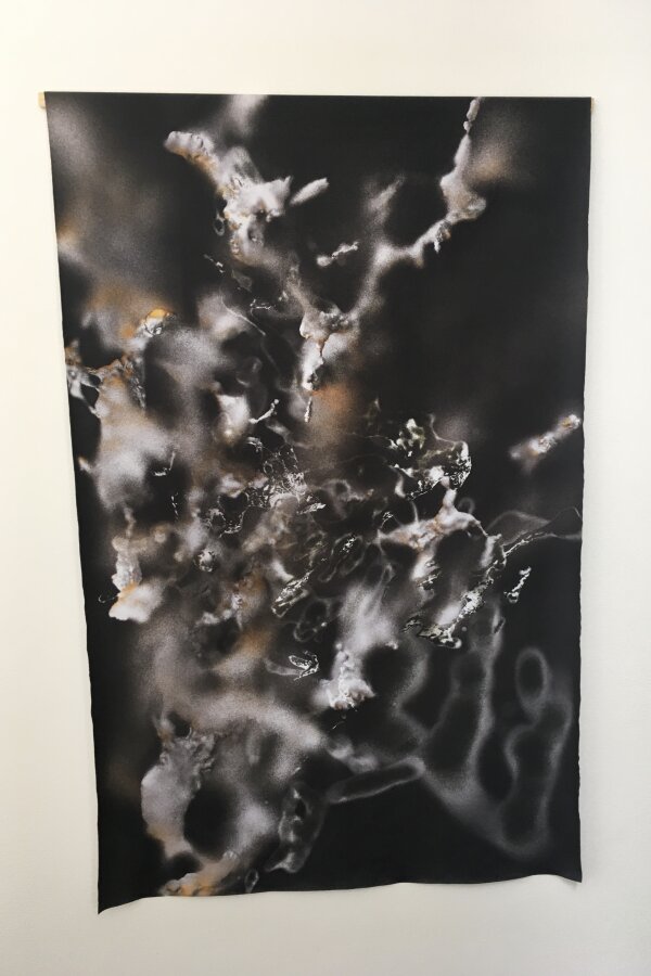 Lukáš Prokop, Network Sketch 4, vyvolávací cena 2500,-